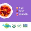YumEarth Gummy Fruits Allergy Friendly Organic Vegan Candy 4 oz