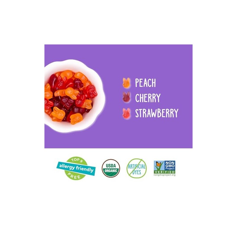 YumEarth Gummy Fruits Allergy Friendly Organic Vegan Candy 4 oz