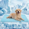SISROL Dog Cooling Mat Cats Arc-Chill Q-Max 0.4 Wash Non-Slip