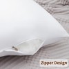 20x20 Inch Pillow Inserts (Set of 2) Synthetic Down Alternative
