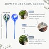 Aqua Globes - 2 Pack - Decorative Hand-Blown Glass Plant
