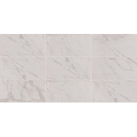 Daltile Costar 12" x 24" Marble Look Porcelain Floor Tile in Matte Calacatta Empire for Kitchen, Bathroom, Living Room Floors