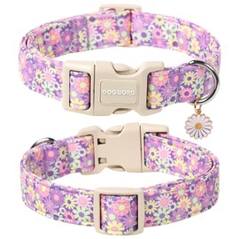DOGWONG Flower Dog Collar, Girl Daisy Dog Collar Durable Ice Cream Pet Dog Collars Cute Summer Beach Puppy Necklace for Small Medium Large Dogs