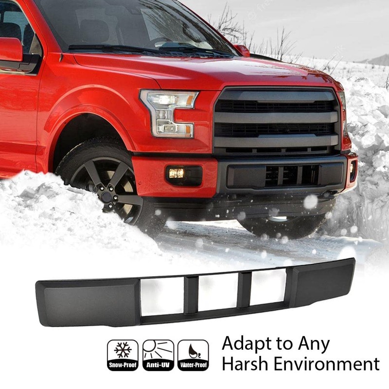 PIT66 Front Bumper Lower Grille Trim Panel, Compatible with Ford