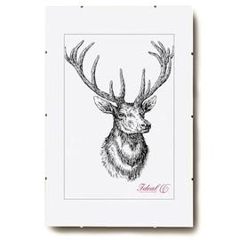 Rahmenlos Picture frame, picture holder, clip frame, plastic, glass, 40x50