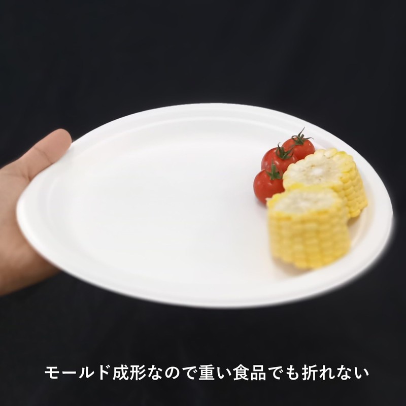 Disposable Dishes Eco Durable Bagasse Plates Flat Plates Medium 50