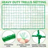 Trellis Net for Climbing Plants, 2 x 5 m, Plant