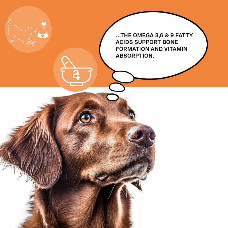 animaux - omega complete fish oil tablets for dogs I