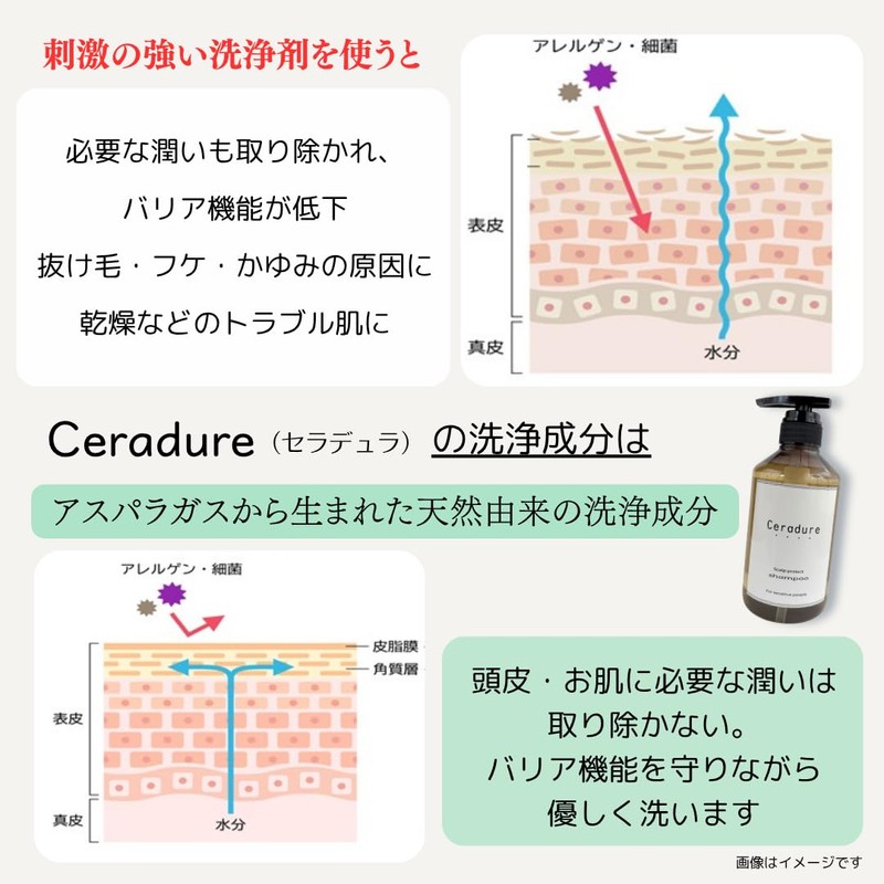 Ceradura Scalp Shampoo Salon Quality Aimed for Zero Stimulation, Large