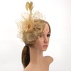 DRESHOW Fascinator Hat, Flowers, Mesh Ribbons and Feathers on a