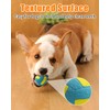 Squeaky Dog Balls, Interactive Funny Puppy Chew Toys for Fetch