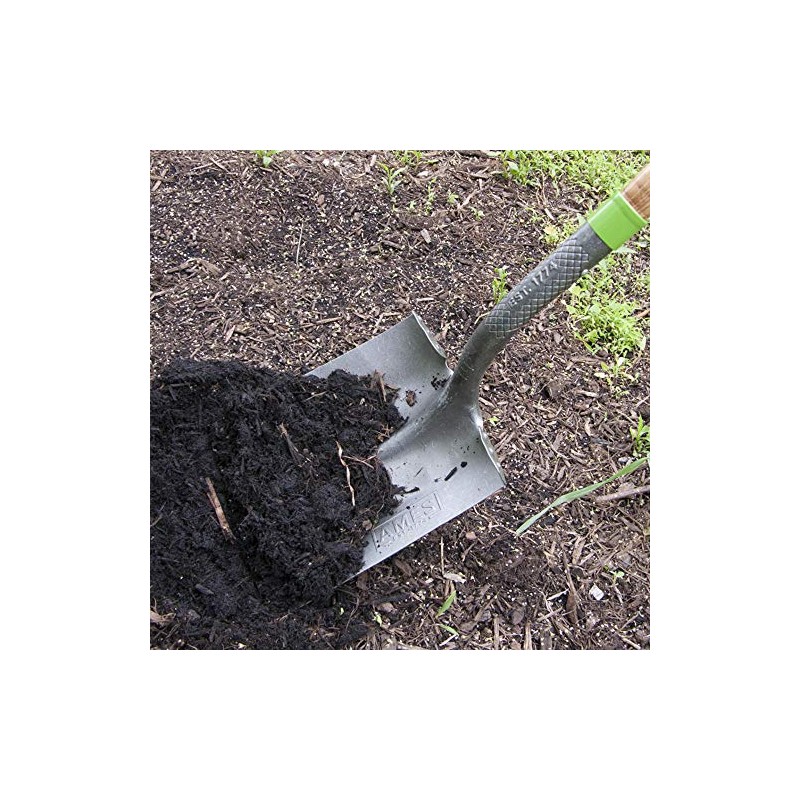 AMES 2535700 Tempered Steel Transfer Shovel with Hardwood Handle, 61-Inch,