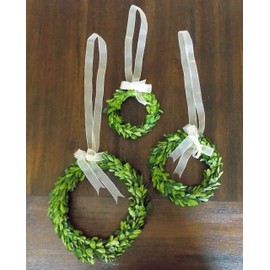 Small Mini Preserved Boxwood Wreath, Farmhouse Wreath with Sheer Ribbon for Everyday, Christmas Holiday Home Decor, Wedding Chair and Pew Decorations, Handmade, 6 Inch, 1 per pkg