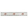 'Turtle' 30cm (12 Inch) White Plastic Ruler (RL00057103)