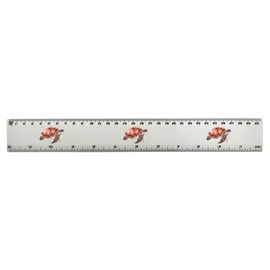 'Turtle' 30cm (12 Inch) White Plastic Ruler (RL00057103)