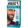 Just For Men Mustache & Beard, Beard Dye for Men