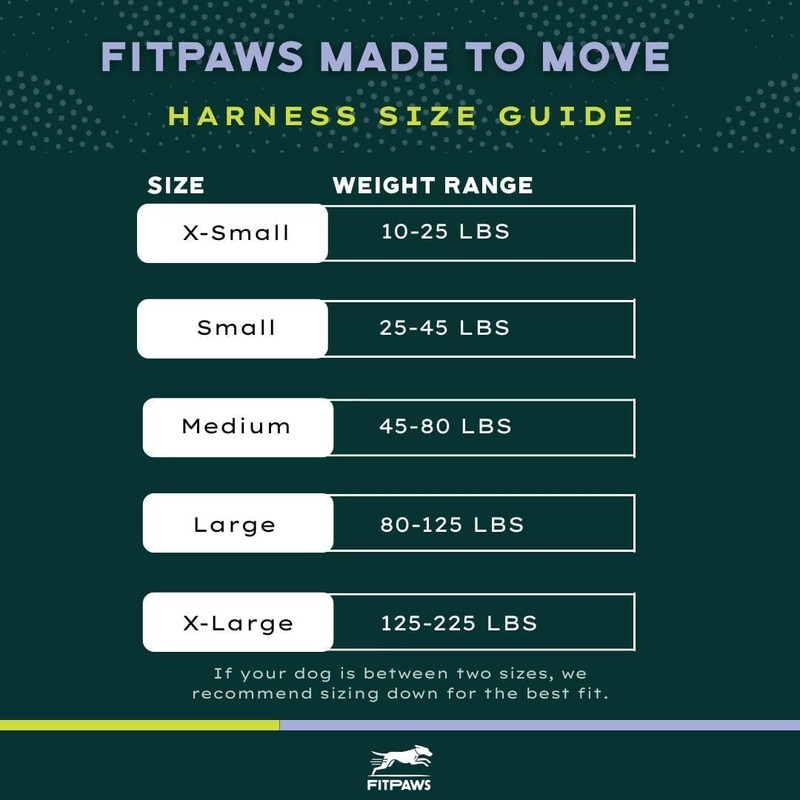 FitPAWS Made to Move No-Pull Harness | Adjustable Fit |