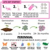 Flawn Seed Kits Creeping Thyme Seed Kit, Easy Spread Shaker