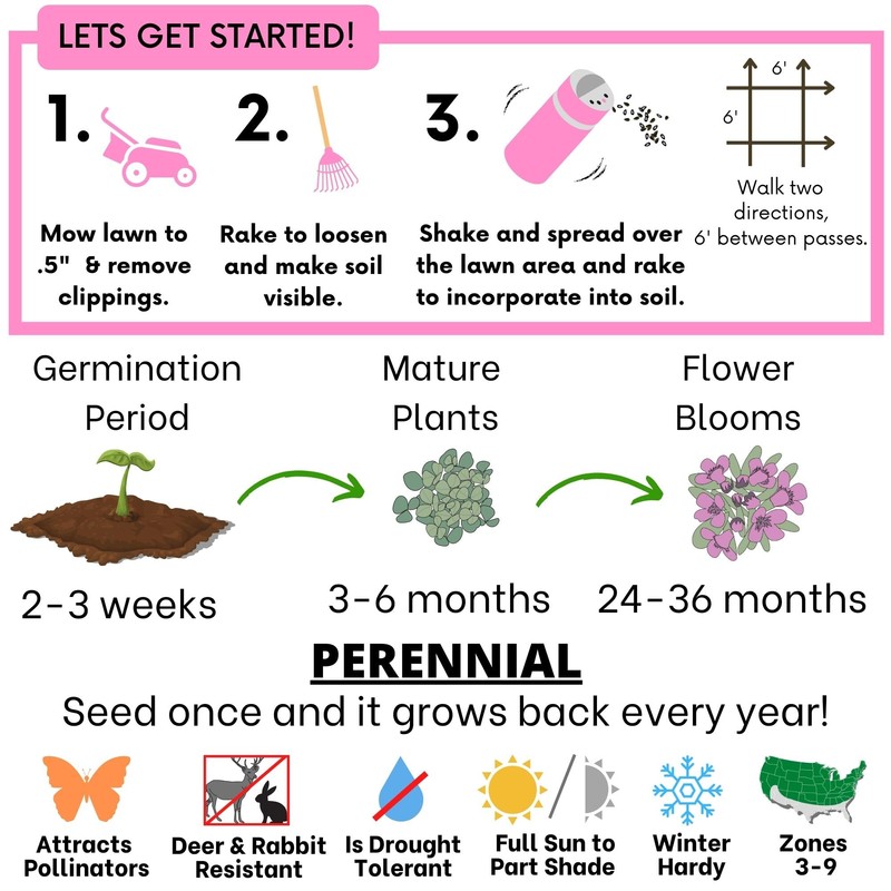 Flawn Seed Kits Creeping Thyme Seed Kit, Easy Spread Shaker