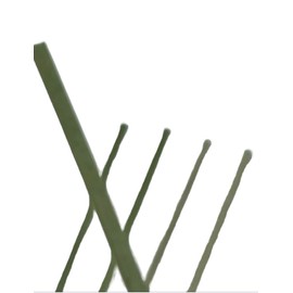 Pack of 200 Flat Bamboo Brooches 18cm