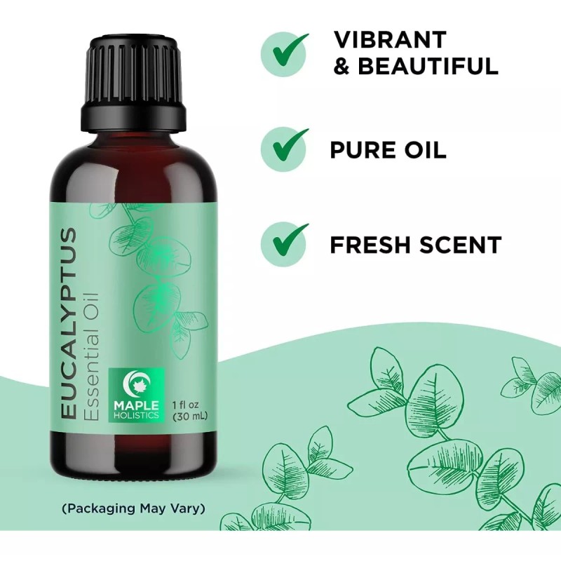 Maple Holistics Aceite Esencial Puro Eucalipto Para Difusor Y Masajes,