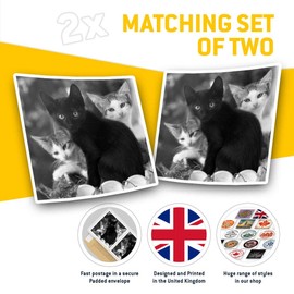Square Stickers (Set of 2) 7.5cm BW - Cute Kittens Black Tabby Ginger Cat Laptop Tablet Luggage Scrapbook #43908