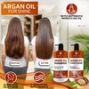 Moroccan Argan Oil Shampoo and Conditioner Set - Sulfate Free