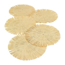Round Luau Fringe Placemat Decoration (Set of 12) Tropical Party Supplies