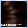 Clairol Nice 'N Easy Permanent Hair Color, 5C Medium Cool