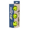 Pro Penn 40 Outdoor Pickleballs, Durable High-Visibility Yellow Tournament Balls,