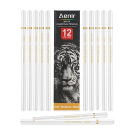 White Charcoal Pencils, Pack of 12 Charcoal Drawing Pencils, Charcoal Pencils for Artists, Art Supplies for Drawing and Highlighting.