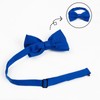 Alizeal Fashion Adjustable Pre-Tied Holiday Bow Tie for Men, royal