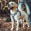 OneTigris Dog Harness, Breathable, Easy to Put on and Take