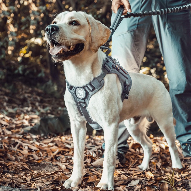 OneTigris Dog Harness, Breathable, Easy to Put on and Take