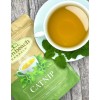 Undisclosed Catnip Tea by Palm Beach Herbals | 30ct, Caffeine-Free