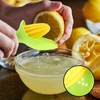 Lemon Squeezer with Splash Guard and Core Catcher, Fruit Press,