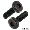 TERF® M3 X 10mm Torx Socket Pan Machine Screw Black
