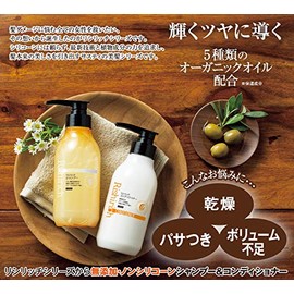 LISILICITCH SERIES LISILICITCH Shampoo 10.1 fl oz (300