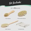 Nevlers Natural Boar Bristle Dry Brushing Body Brush 4-Piece Massage