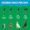 Veterinarian Formulated Kidney Support for Cats & Dogs | 6-in-1
