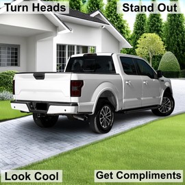 BOGAR TECH DESIGNS Rear Taillight Tail Light Tint Kit PPF Compatible with Ford F150 F-150 2015-2020, Dark Smoke
