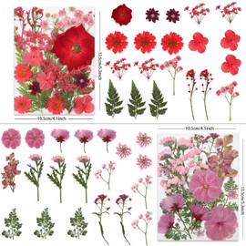 80 Pcs Dried Pressed Flowers for Crafts, Real Natural Dried Pressed Flowers in Vibrant Multicolor Tones for Resin, DIY Art, Jewelry, Candle & Soap Making – Tweezers Included