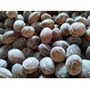 Root Beer Bulk Sanded Candy Drops - 2 lbs of