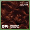 Clairol Natural Instincts Demi-Permanent Hair Dye, 5R Medium Auburn Hair