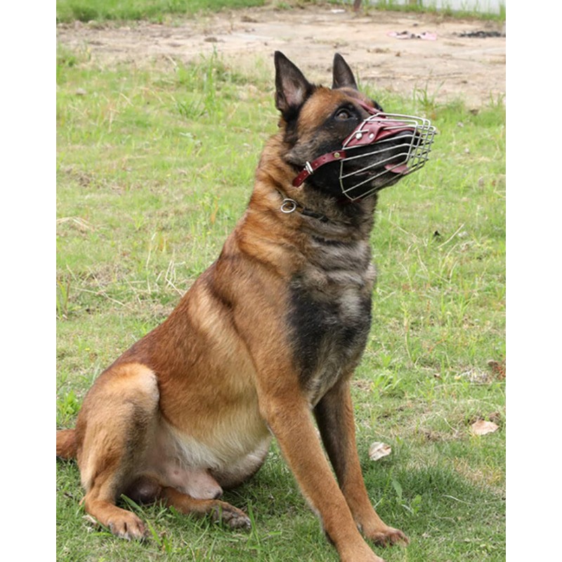 Dog Muzzle for Large Dogs, German Shepherd Muzzle with Adjustable