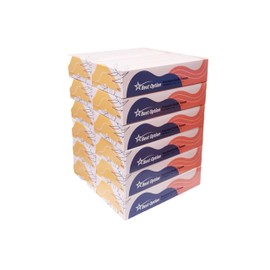 Soft 2-Ply Facial Tissue, White, 100-Count Box | Professional, Gentle and Durable | Great for Bathroom, Office, Business, School (1,200 Tissues, Bulk Pack of 12-Boxes)