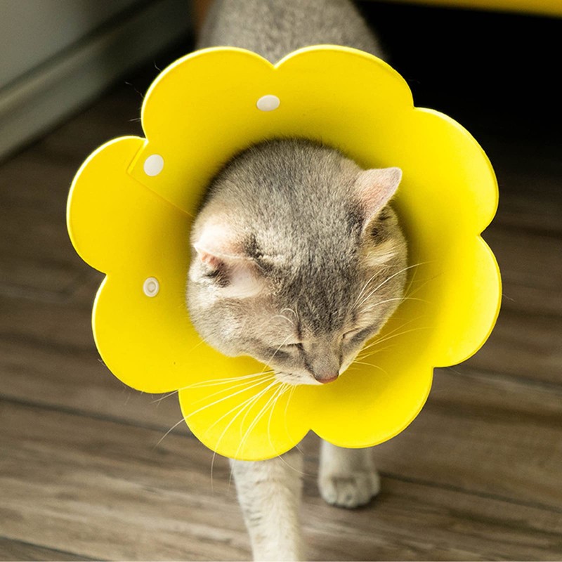 Jakonay 3-Piece Cat Recovery Collar Set - Sunflower Neck Cat