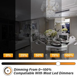 E12 100W Dimmable Replacement LED Candelabra Bulbs C7,6000K Daylight White,120V 10W 1000 Lumen T6 E12 LED Chandelier Light Bulbs for Ceiling Fan Pendant Lighting Salt Lamp,2 Pack