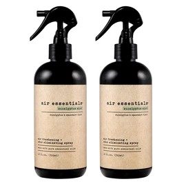 Air Essentials Air Freshener & Odor Eliminator Spray - 12 oz, Pack of 2 - Made with Pure Essential Oils - Eucalyptus Mint Scent