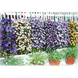 ALS 10 Pack Flower Pouch, 5 Hole